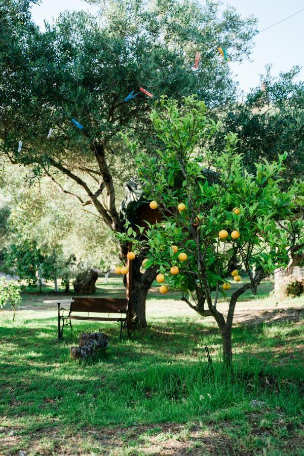 Villa Kallithea Парга Экстерьер фото