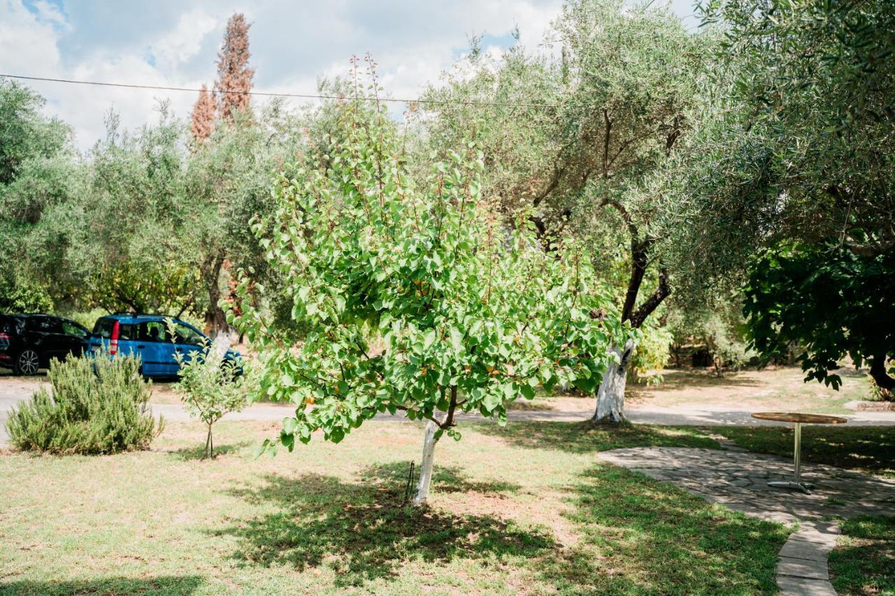 Villa Kallithea Парга Экстерьер фото